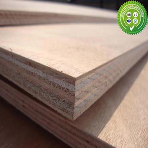 Bintangor plywood