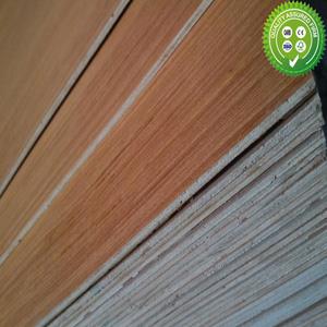 Engineer veneer plywood 