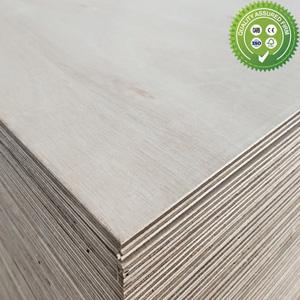 FSC 100% Eucalyptus plywood 