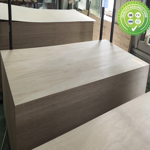 FSC 100% Eucalyptus plywood 