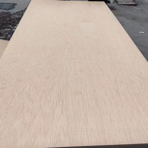 Ilomba  plywood 