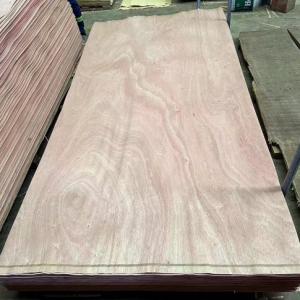 Tiama veneer  